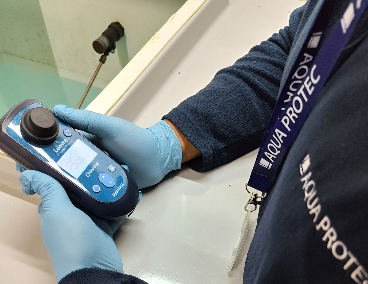 Safeguarding healthcare through better water hygiene